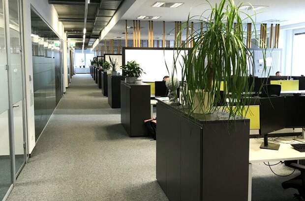 Gewerbeobjekt mieten in 4020 Linz (Bild 4)