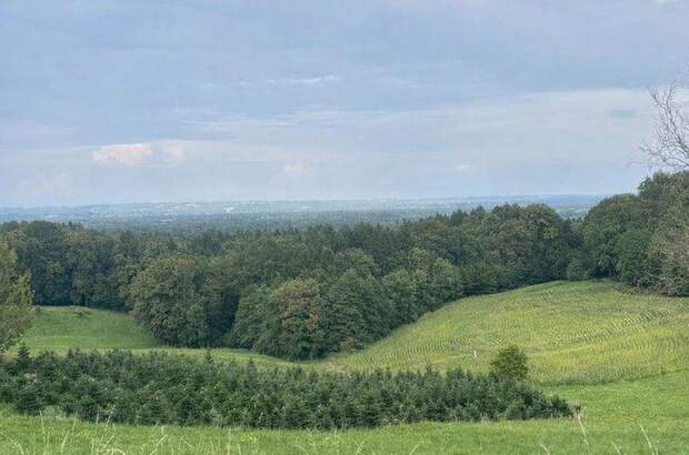 Grundstück kaufen in 8434 Maxlon (Bild 5)