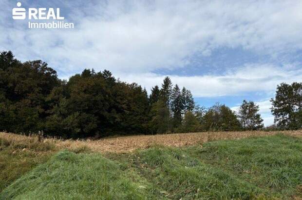 Grundstück kaufen in 8083 St. Stefan (Bild 1)