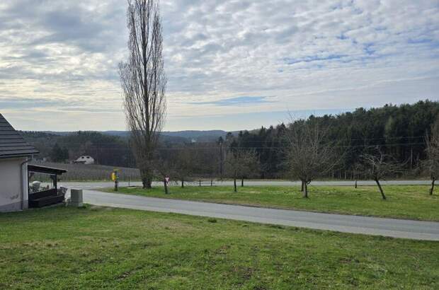 Grundstück kaufen in 8224 Hofkirchen (Bild 5)