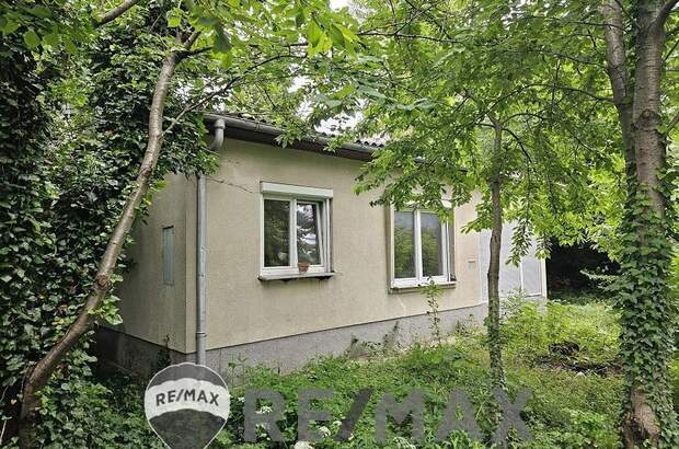 Einfamilienhaus kaufen in 2440 Mitterndorf (Bild 4)