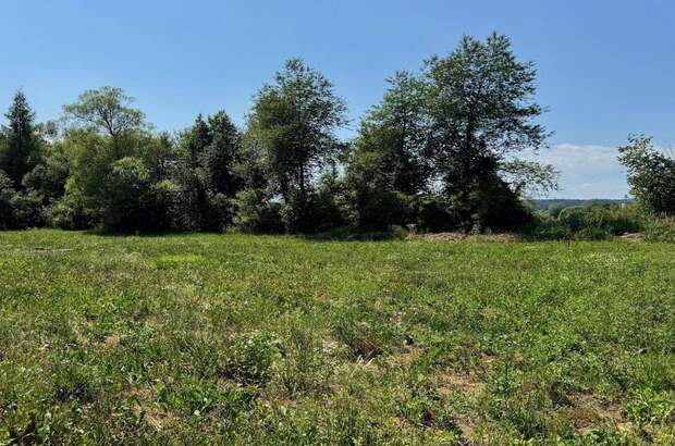 Grundstück kaufen in 8421 Wolfsberg (Bild 3)