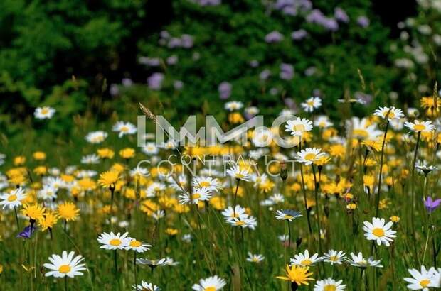 Eigentumswohnung in 4020 Linz