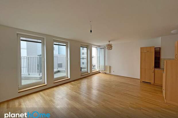 Terrassenwohnung mieten in 1060 Wien (Bild 2)