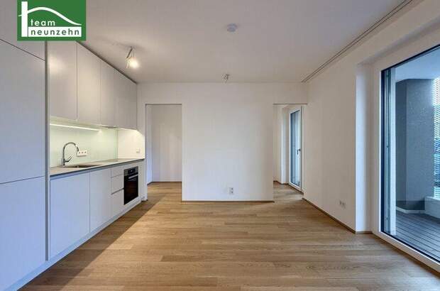 Terrassenwohnung mieten in 1180 Wien (Bild 1)