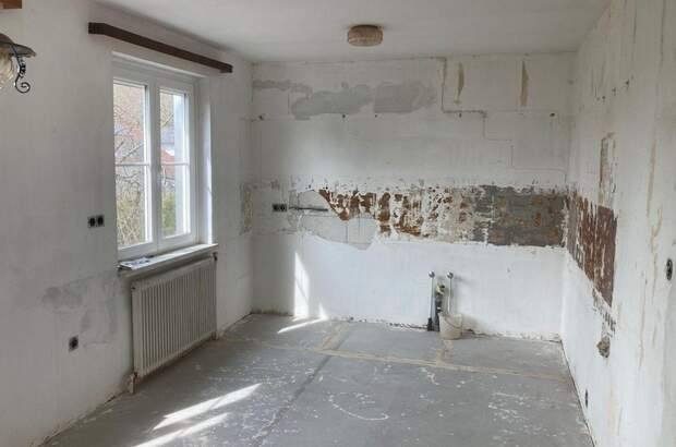 Haus kaufen in 4523 Neuzeug (Bild 4)