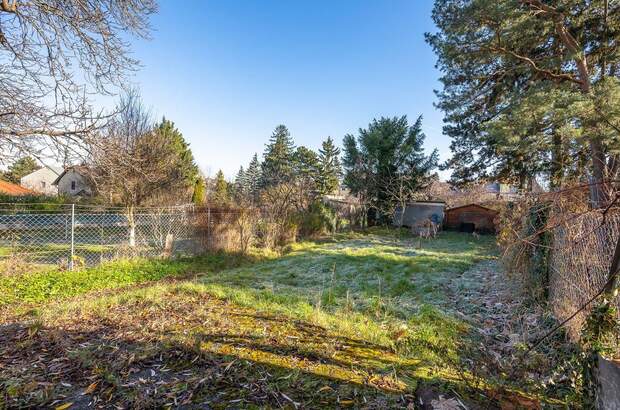 Haus kaufen in 1230 Wien (Bild 2)