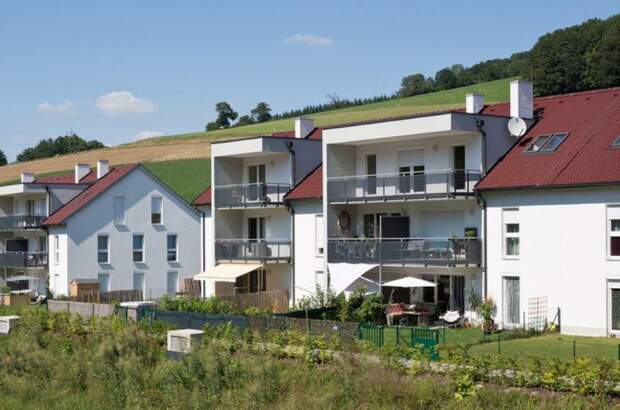 Wohnung mieten in 3150 Wilhelmsburg (Bild 2)