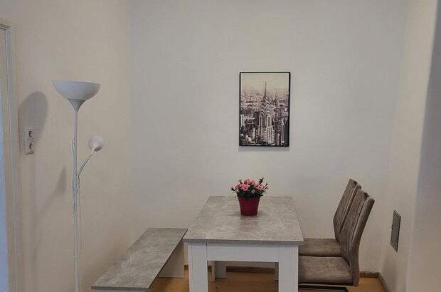 Terrassenwohnung mieten in 3500 Krems (Bild 5)