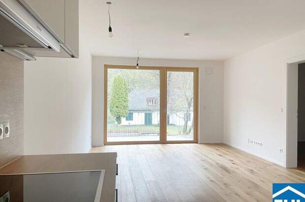 Terrassenwohnung kaufen in 2391 Kaltenleutgeben (Bild 5)