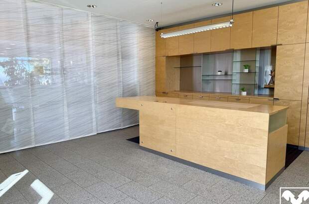 Gewerbeobjekt mieten in 4201 Eidenberg (Bild 4)