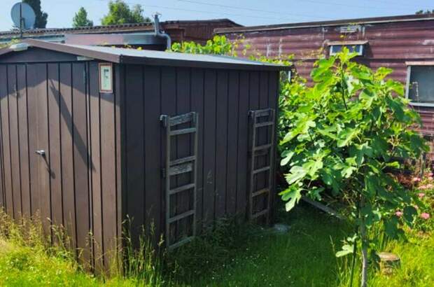 Immobilie kaufen in 7083 Purbach (Bild 5)