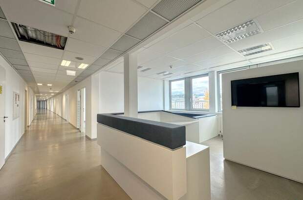 Gewerbeobjekt mieten in 1200 Wien (Bild 3)