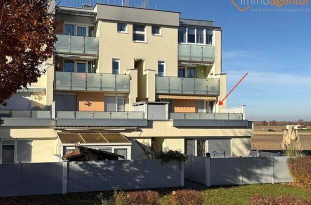 Wohnung kaufen in 4614 Marchtrenk (Bild 3)