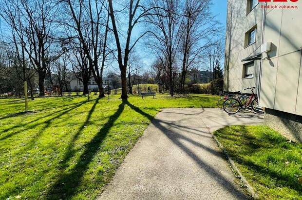 Terrassenwohnung mieten in 4020 Linz (Bild 3)