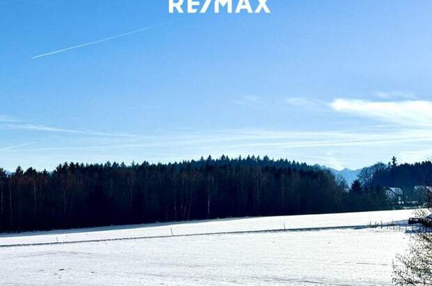 Grundstück kaufen in 4841 Ungenach (Bild 4)