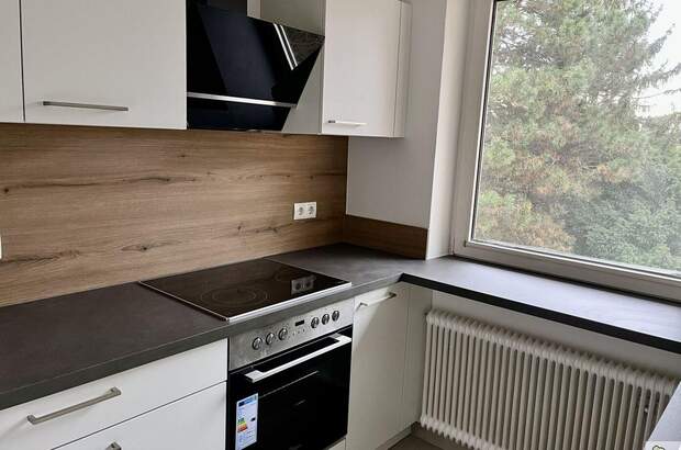 Altbauwohnung mieten in 1180 Wien (Bild 1)