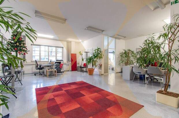 Büro / Praxis mieten in 4020 Linz (Bild 1)