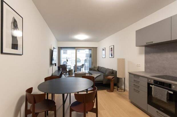 Terrassenwohnung mieten in 1010 Wien (Bild 1)