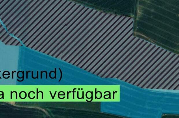 Gewerbeobjekt kaufen in 4643 Pratsdorf (Bild 2)
