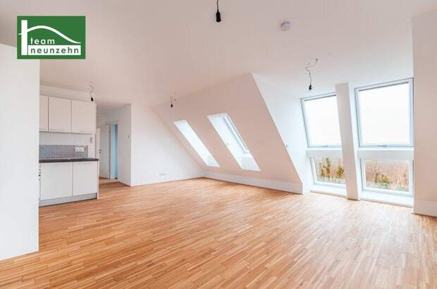 Terrassenwohnung mieten in 1220 Wien (Bild 1)