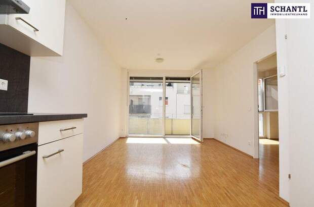 Terrassenwohnung mieten in 8020 Graz (Bild 2)