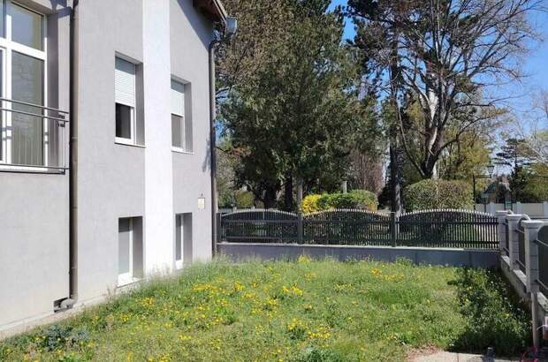 Mehrfamilienhaus kaufen in 2344 Maria Enzersdorf (Bild 3)