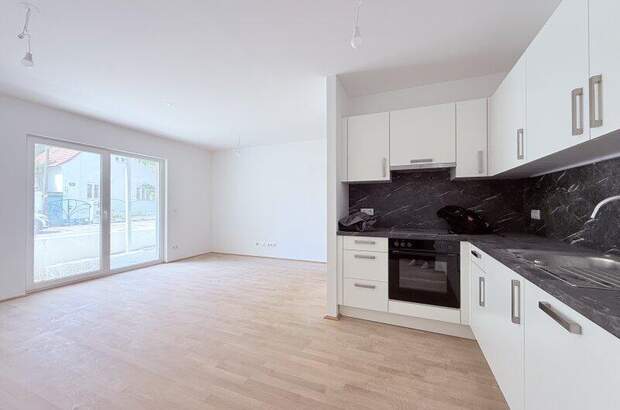 Terrassenwohnung kaufen in 1100 Wien (Bild 1)