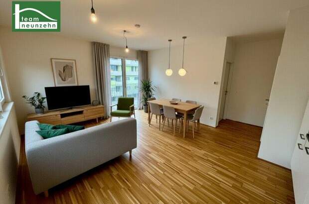 Terrassenwohnung mieten in 1110 Wien (Bild 1)