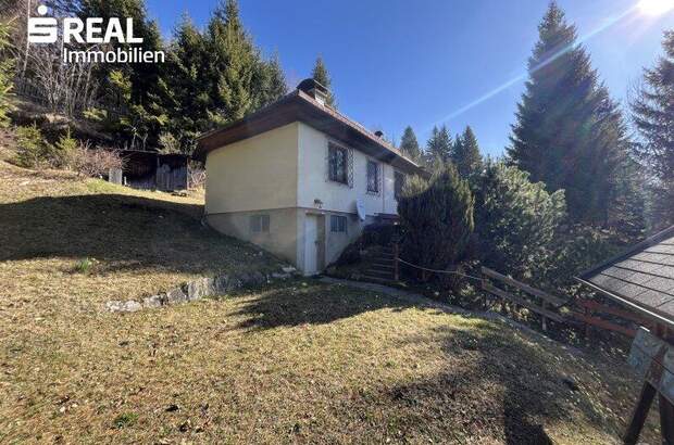 Haus kaufen in 5570 Mauterndorf (Bild 5)