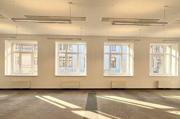 Gewerbeobjekt mieten in 1010 Wien (Bild 3)