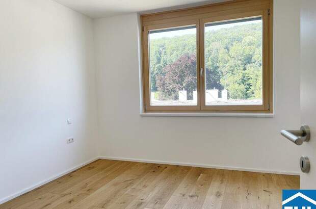 Terrassenwohnung mieten in 2391 Kaltenleutgeben (Bild 5)