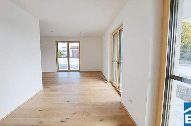 Büro / Praxis kaufen in 7100 Neusiedl (Bild 1)