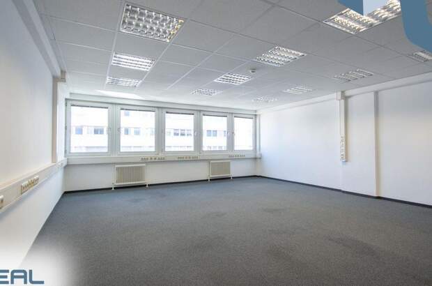 Gewerbeobjekt mieten in 4040 Linz (Bild 4)