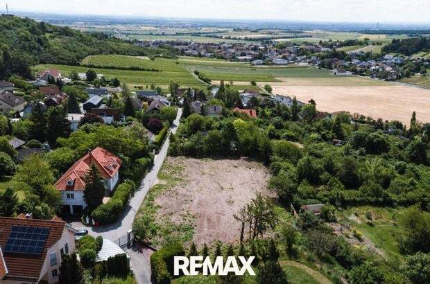 Grundstück kaufen in 2102 Hagenbrunn (Bild 1)