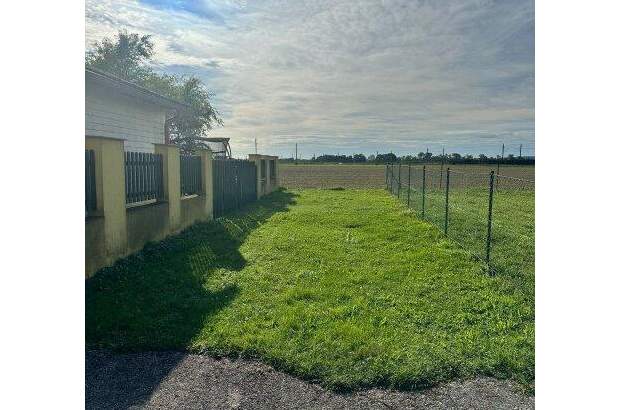 Mehrfamilienhaus kaufen in 4064 Oftering (Bild 5)