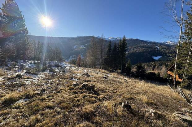 Grundstück kaufen in 8742 Mönchegg (Bild 1)