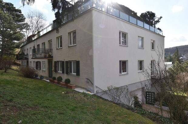 Terrassenwohnung mieten in 1190 Wien (Bild 1)