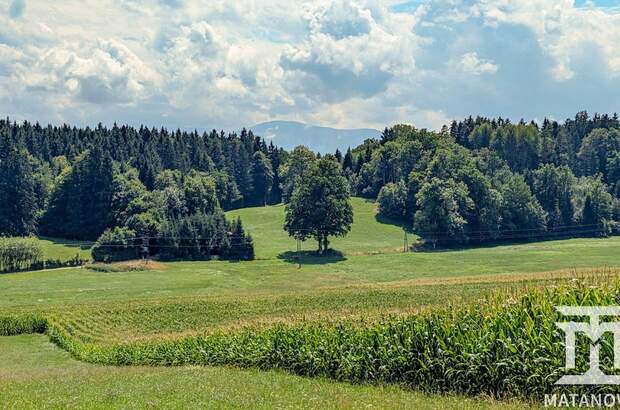 Gewerbeobjekt kaufen in 9062 Tigring (Bild 1)
