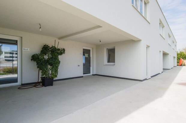 Gewerbeobjekt mieten in 3425 Langenlebarn (Bild 5)