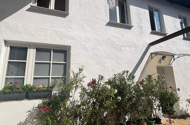 Haus mit Garten kaufen in 2165 Drasenhofen (Bild 1)