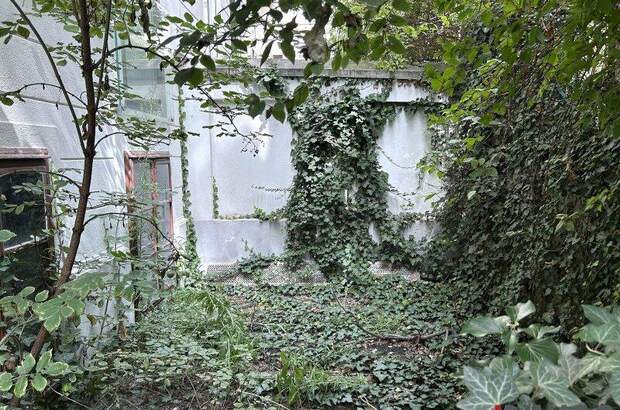 Terrassenwohnung kaufen in 1030 Wien (Bild 3)