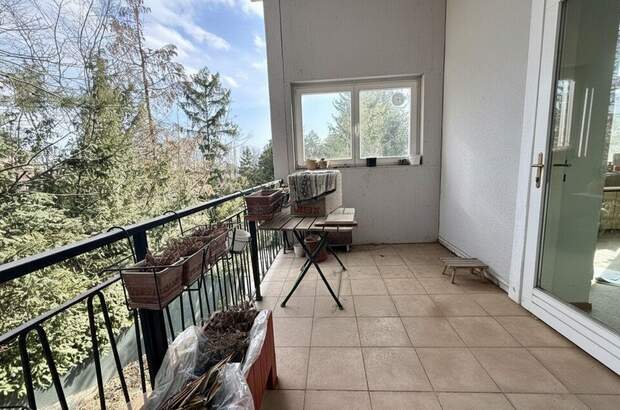 Altbauwohnung kaufen in 1130 Wien (Bild 5)