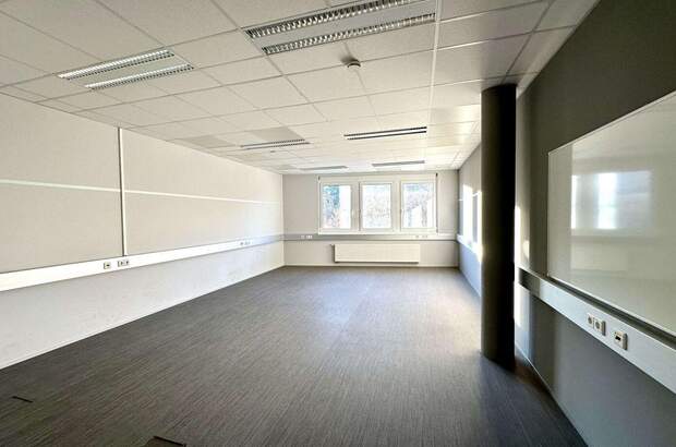 Gewerbeobjekt mieten in 8054 Graz (Bild 1)