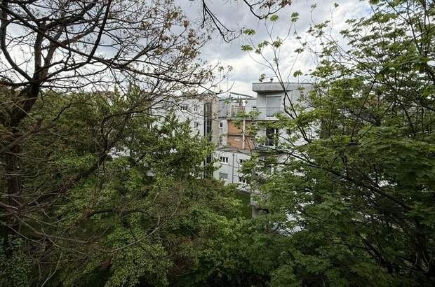 Altbauwohnung mieten in 8020 Graz (Bild 1)