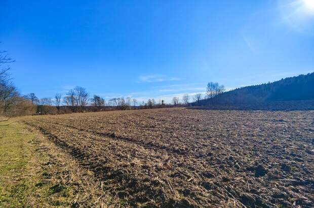 Gewerbeobjekt kaufen in 8561 Söding (Bild 2)