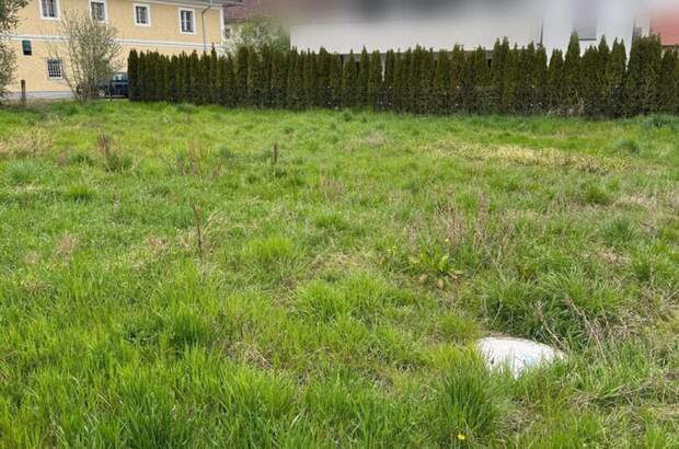 Grundstück kaufen in 4063 Breitbrunn (Bild 4)