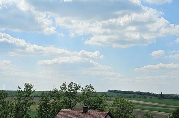 Grundstück kaufen in 2130 Mistelbach (Bild 1)