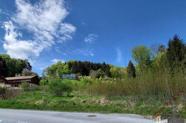 Grundstück kaufen in 3153 Eschenau (Bild 3)