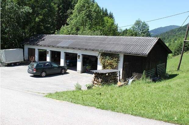 Mehrfamilienhaus kaufen in 3341 Ybbsitz (Bild 4)